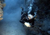 Tahiti Plongée Passion Fun dive