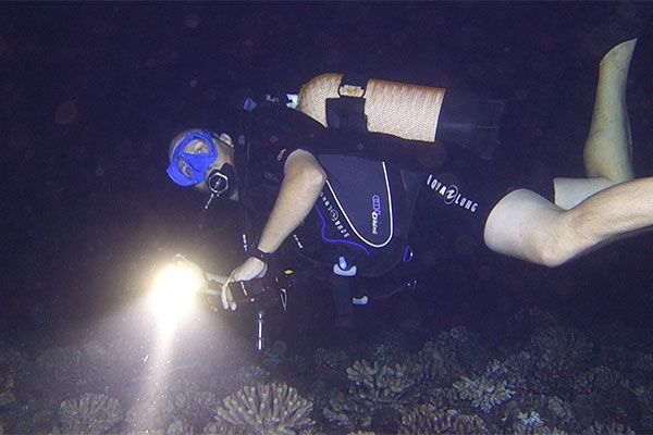 Tahiti Plongée Passion Fun dive