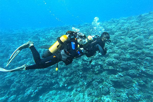 Tahiti Plongée Passion Fun dive